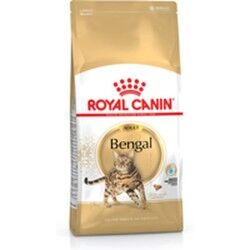 Cibo per gatti Royal Canin Bengal Adult Adulto Vegetale Uccelli 10 kg