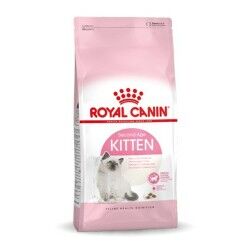 Cibo per gatti Royal Canin Kitten Riso Uccelli 2 Kg