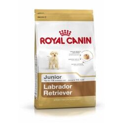 mangime Royal Canin Labrador Retriever Junior Cucciolo/Junior Pollo Riso Mais Uccelli 12 kg