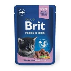 Cat food Brit 100 g