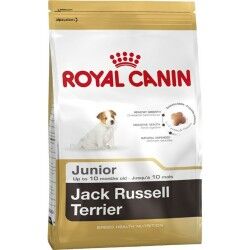 Fodder Royal Canin Jack Russell Junior Kid/Junior Chicken Rice Birds 3 Kg