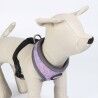 Dog Harness Disney Grey