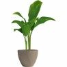 Plant pot Garden ID Taupe 40 x 31 cm