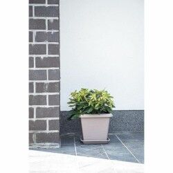 Plant pot Garden ID Taupe Squared 40 x 35 cm