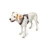 Imbracatura per Cani Hunter Maldon Up Rosa 50-84 cm