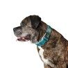 Dog collar Hunter Plus Thread turquoise Turquoise Size XL (45-70 cm)