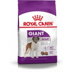 Fodder Royal Canin Giant Adult Adult Chicken Birds 15 kg