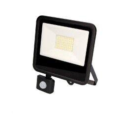 Floodlight/Projector Light EDM 70357