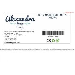 Set di vasi da fiori Alexandra House Living Dorato Metallo Con supporto (2 Pezzi)