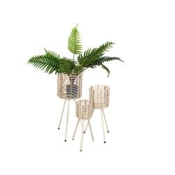 Set di vasi da fiori Romimex Rattan Gambe (3 Pezzi)