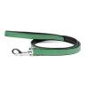 Dog Lead Gloria 1.8 x 100 cm Green