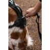 Dog Harness SYMBIOZ Black XXS