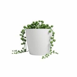 Vaso Artevasi SAN REMO Bianco Ø 42 cm (6 Pezzi)