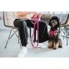 Guinzaglio per Cani Hunter Fucsia 2 m Regolabile