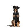 Collare per Cani Hunter Swiss Marrone Nero M 55 cm