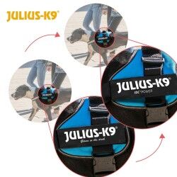 Imbracatura per Cani Julius K9 Power Azzurro L 1