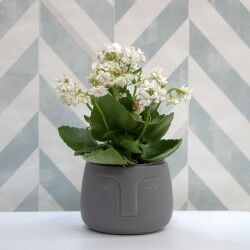 Planter Vinthera Moa Dark grey Ceramic 12,5 x 10,5 cm