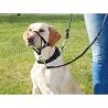 Guide harness for dog Trixie Top Trainer Black L