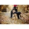 Imbracatura per Cani Julius K9 IDC L/XL 2