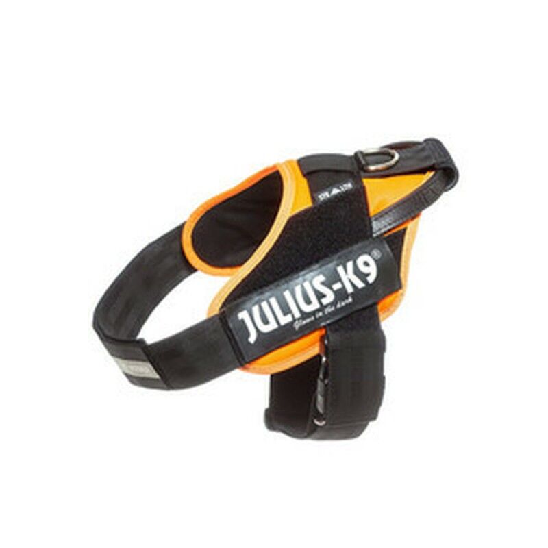 Imbracatura per Cani Julius K9 IDC Arancio L/XL 2 71-96 cm