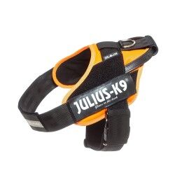 Imbracatura per Cani Julius K9 IDC Arancio L/XL 2 71-96 cm