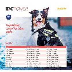 Imbracatura per Cani Julius K9 IDC Giallo M/L