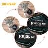 Imbracatura per Cani Julius K9 IDC Giallo M/L