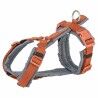 Imbracatura per Cani Trixie Premium Trekking Arancio Grafite M