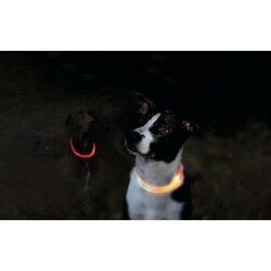 LED Collar for Pets Trixie Orange L/XL