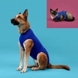 Maglia di Recupero per Animali KVP Azzurro 21-24 cm