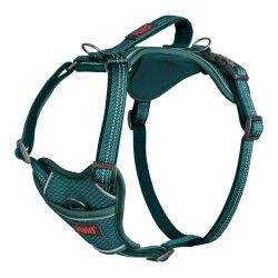 Dog Harness Company of Animals Turquoise XS 20-32 cm