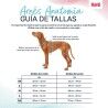 Imbracatura per Cani Company of Animals Turchese M 35-55 cm