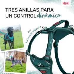 Imbracatura per Cani Company of Animals Turchese L 42-65 cm