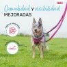 Guinzaglio per Cani Company of Animals Verde S