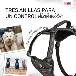 Imbracatura per Cani Company of Animals Grigio L 42-65 cm