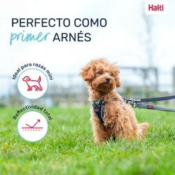 Imbracatura per Cani Company of Animals Grigio XXS 22-30 cm