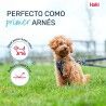 Imbracatura per Cani Company of Animals Grigio XXS 22-30 cm