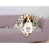 Coperta per Animali Domestici Trixie Beany 100 x 70 cm Beige