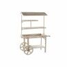 Garden Cart DKD Home Decor Light brown 118 x 53 x 166 cm