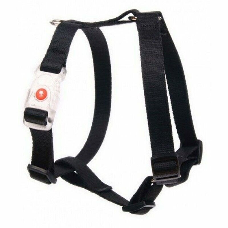 Dog Harness Matteo Multicolour