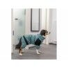 Dog bathrobe Trixie Blue XL