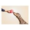 Dog toy Gloria Dispenser Sweets Rubber (12 cm)