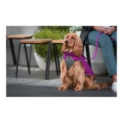 Cappotto per Cani Red Dingo Puffer 45 cm Rosa/Viola