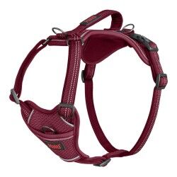 Dog Harness Company of Animals Burgundy S 28-42 cm