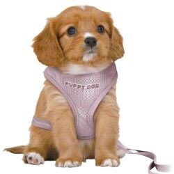 Dog Harness Trixie Junior Lilac M/L