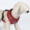 Dog Harness Mickey Mouse