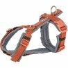 Imbracatura per Cani Trixie Premium Trekking Arancio Grafite S