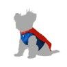 Dog Costume Comic Hero