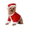 Dog Costume Father Christmas