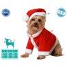 Dog Costume Father Christmas